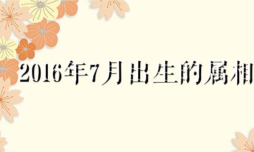 2016年7月出生的属相 2016年七月属猴的是什么命