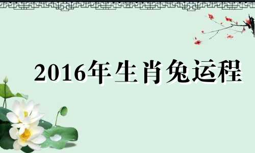 2016年生肖兔运程 2016年属兔的怎么样