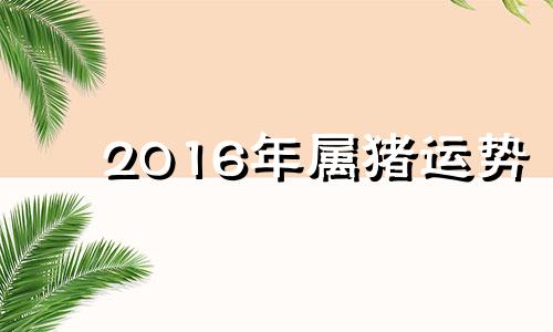 2016年属猪运势 2016年猪的健康运程