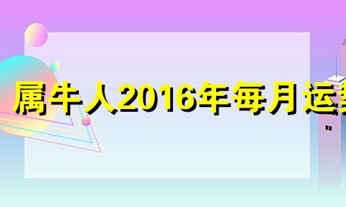 属牛人2016年每月运势 属牛人2016