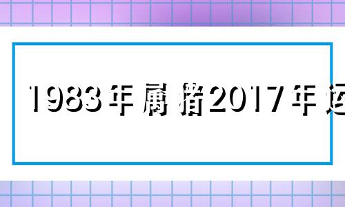 1983年属猪2017年运势 1983年生肖猪2020年运势完整版