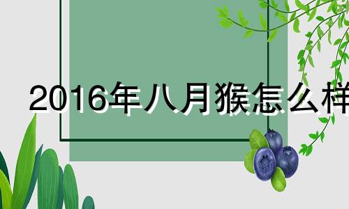 2016年八月猴怎么样 2016年8月猴宝宝命运