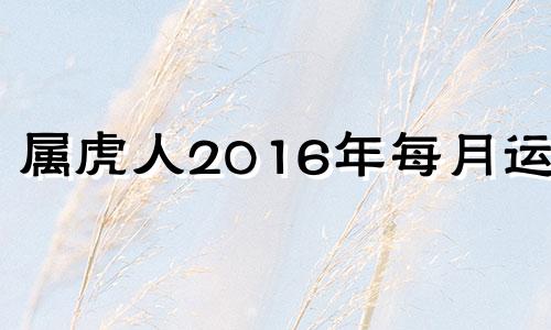 属虎人2016年每月运势 2016年出生运势如何