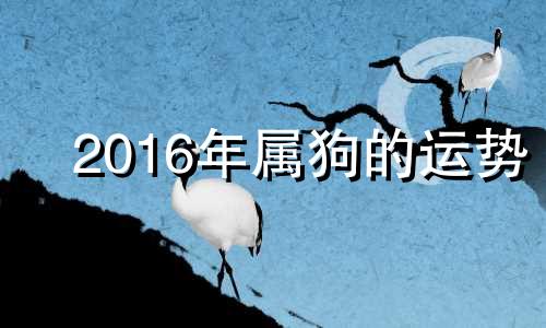 2016年属狗的运势 2016属狗的命运怎么样