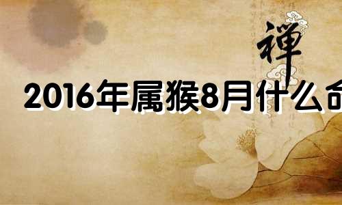 2016年属猴8月什么命 2016年8月猴宝宝命运