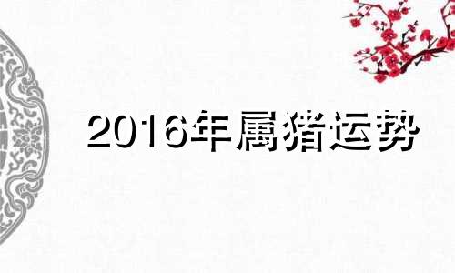 2016年属猪运势 罗马尼亚卫生部长