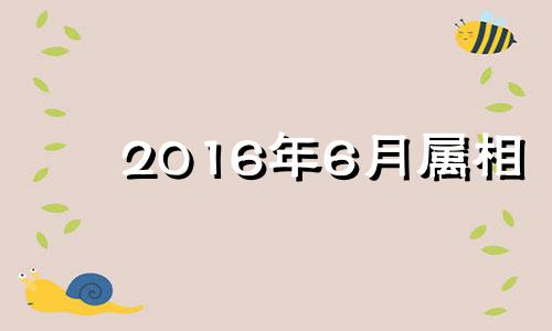 2016年6月属相 2016年6月生人是什么命