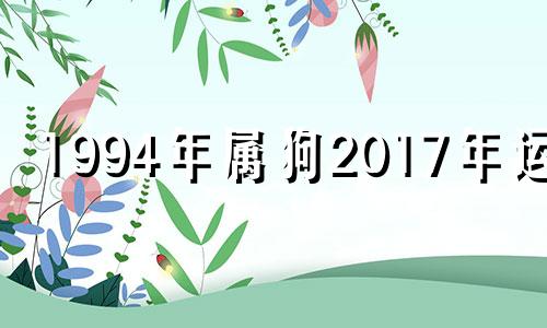 1994年属狗2017年运势 1994年狗年2020年运势及运程