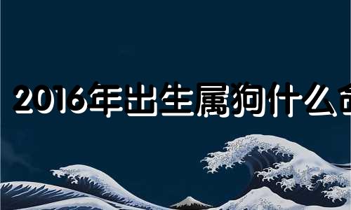 2016年出生属狗什么命 2016年生肖狗运势