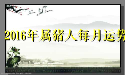 2016年属猪人每月运势 2021年9月16日生肖猪运势