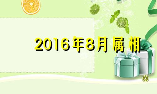 2016年8月属相 12生肖2016年运势,这几个生肖必转运