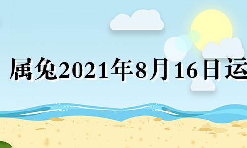 属兔2021年8月16日运势 2016年属兔的怎么样