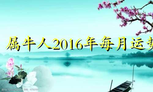 属牛人2016年每月运势 属牛人2021年8月16日运势