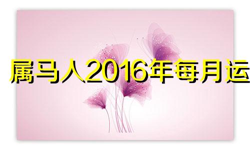 属马人2016年每月运势 2016年属马的运势和财运