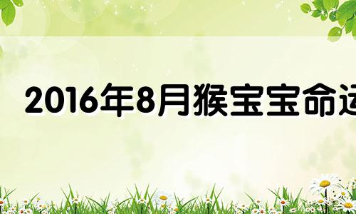 2016年8月猴宝宝命运 属猴2016年8月出生是什么命