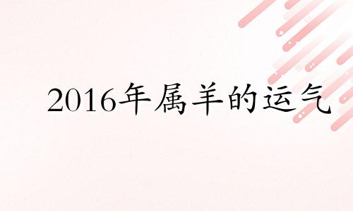 2016年属羊的运气 2016年属羊人