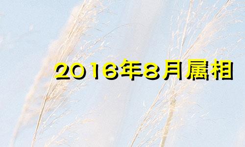 2016年8月属相 2016年属龙的财运如何