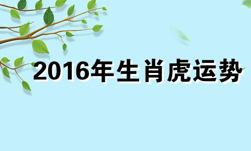 2016年生肖虎运势 2021年属虎8月16日运势