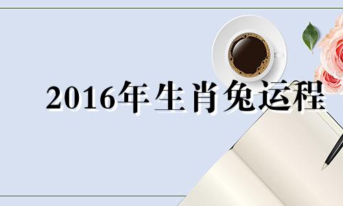 2016年生肖兔运程 2016年属兔人的全年运势女性