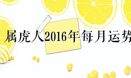 属虎人2016年每月运势 属虎的2016