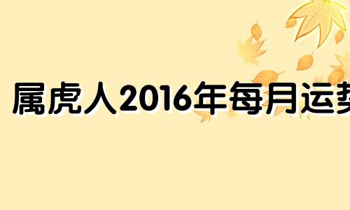 属虎人2016年每月运势 2016年属虎