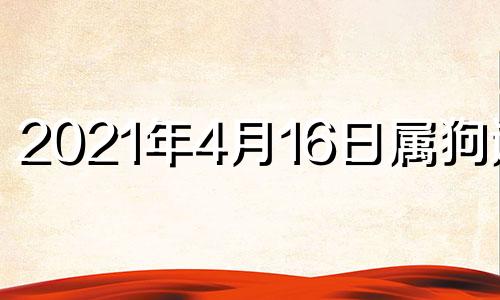 2021年4月16日属狗运势 