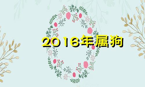 2016年属狗 2016年属狗几月出生好