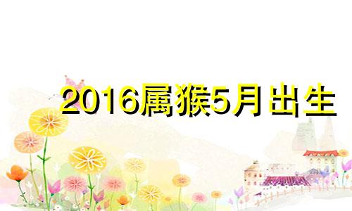 2016属猴5月出生 2016年五月出生的猴