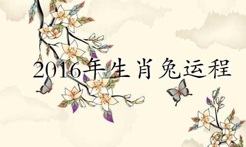 2016年生肖兔运程 2016年属兔的是什么命五行