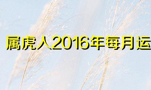 属虎人2016年每月运势 2016年3月属相