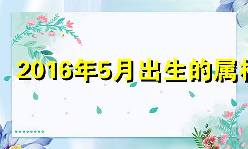 2016年5月出生的属相 16年5月属什么