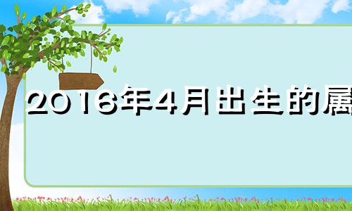 2016年4月出生的属相 2016年4月出生的孩子是什么命