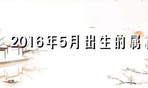 2016年5月出生的属相 2016年五月属什么生肖