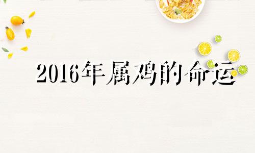 2016年属鸡的命运 属鸡人2016年运势运程