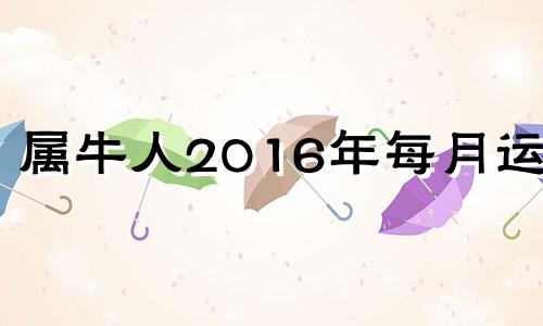 属牛人2016年每月运势 2021年2月16日属牛运势