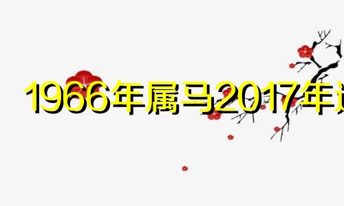 1966年属马2017年运势 1966年生肖马2020年全年运势