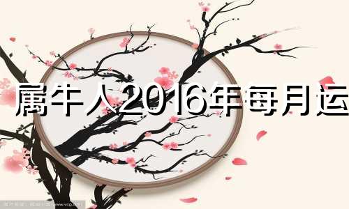 属牛人2016年每月运势 生肖牛2016年运势大全