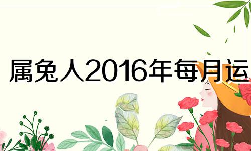 属兔人2016年每月运势 2021年4月16日属兔运势