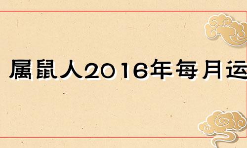 属鼠人2016年每月运势 老鼠2016年的运势