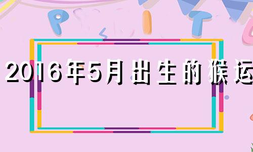 2016年5月出生的猴运程 2016年生肖猴运势大全