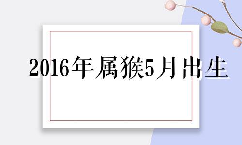 2016年属猴5月出生 2016年农历五月的猴子怎么样