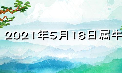 2021年5月16日属牛运势 