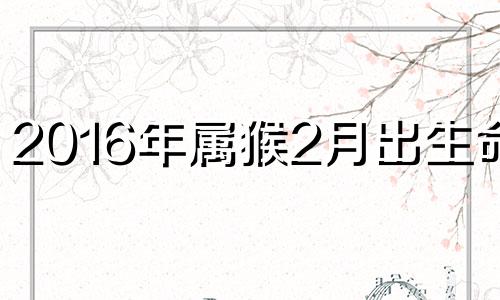 2016年属猴2月出生命运 2016年二月出生的猴宝宝什么命