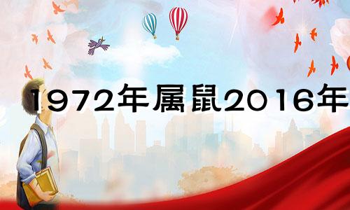 1972年属鼠2016年运势 72年属鼠2017年的运程