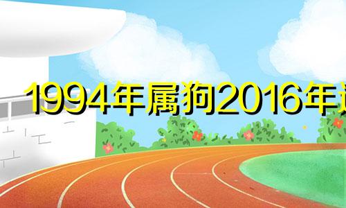 1994年属狗2016年运势 1994年属狗在2019年全年运