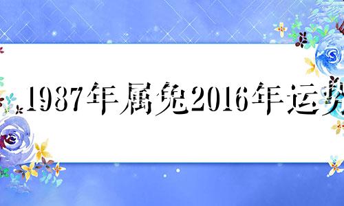 1987年属兔2016年运势 1987年属兔运势2020年运势详解