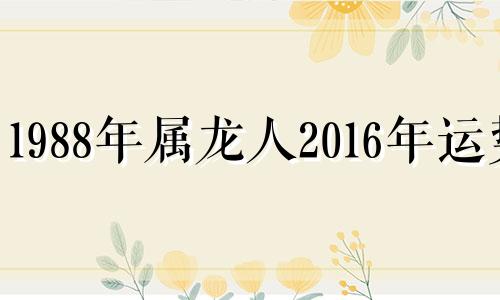 1988年属龙人2016年运势 1988年生肖龙2020年运势大全