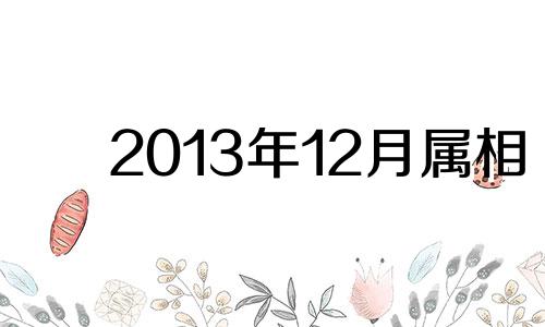 2013年12月属相 2013年12月出生人命运