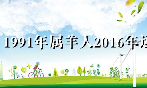 1991年属羊人2016年运势 1991年出生属羊人2020年运势