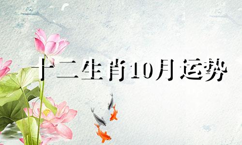 十二生肖10月运势 生肖运势10月运势2021